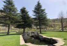 Fuente La Reana Velilla del Río Carrión