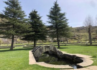 Fuente La Reana Velilla del Río Carrión