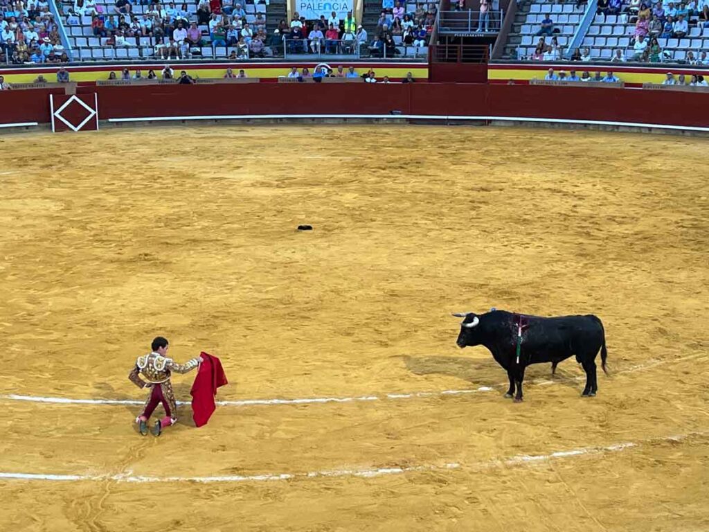 Ginés-Marín-toreando-de-rodillas