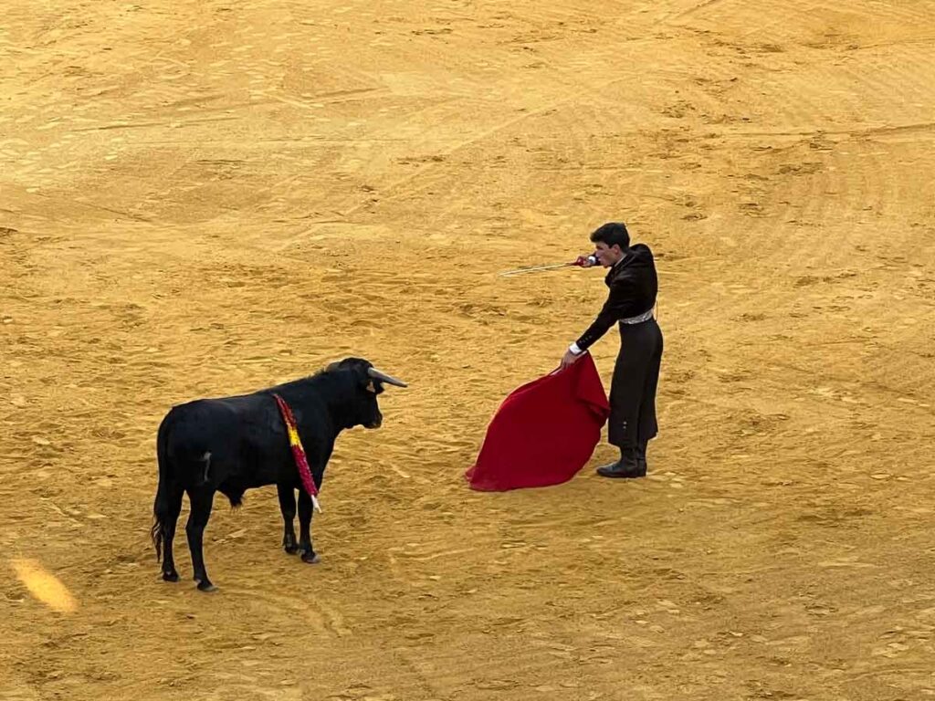 Juan-Alonso-entrando-a-matar