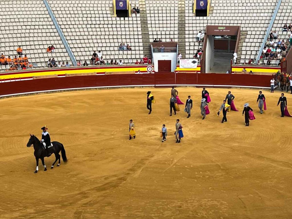 Paseillo-Clase-Práctica