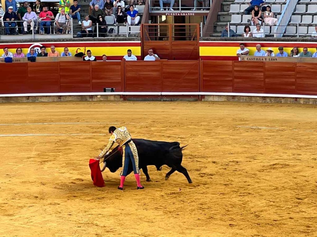 Perera-dando-un-natural-ayudado-por-el-estoque