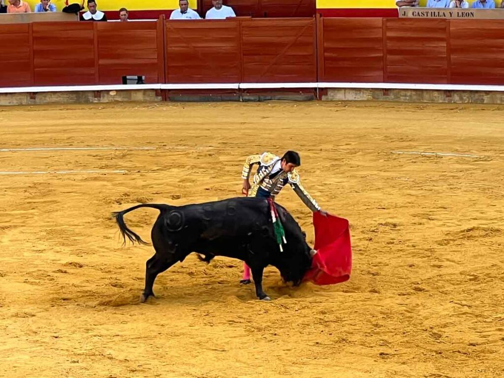 Perera-toreando-al-natural