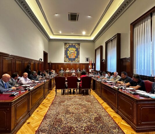 Pleno Diputación Agosto 2023