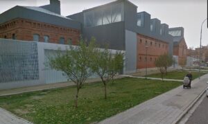 Almendros junto al Lecrac, en la calle San José de la capital. / Google Street View