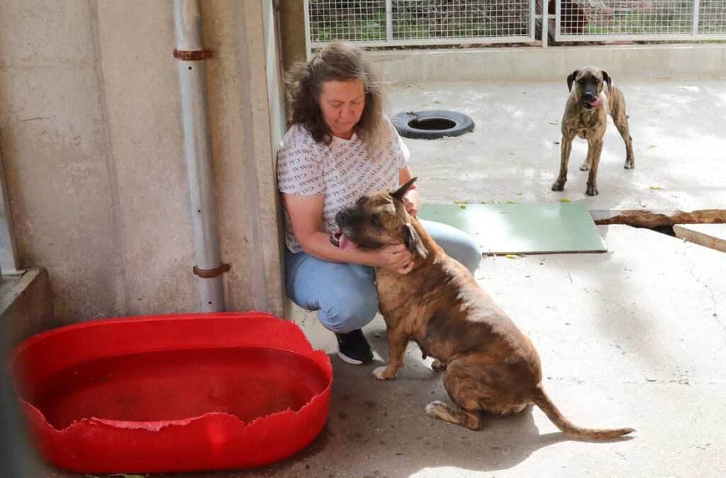 Eva, voluntaria del Centro de acogida de animales Scooby de Palencia