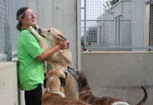 Centro de acogida de animales Scooby de Palencia