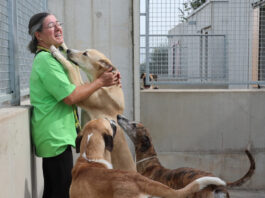 Centro de acogida de animales Scooby de Palencia