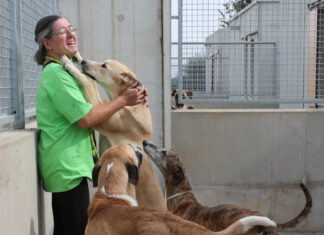 Centro de acogida de animales Scooby de Palencia