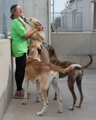 Centro de acogida de animales Scooby de Palencia