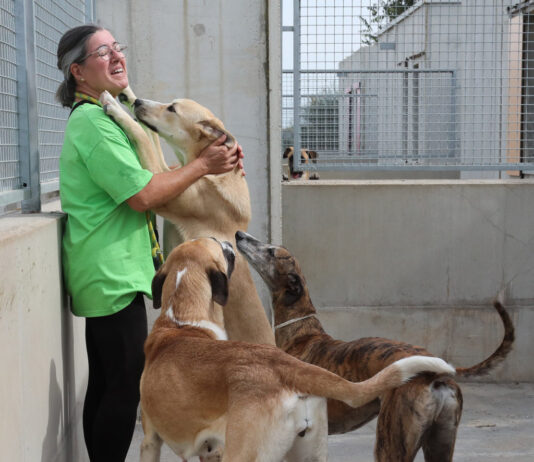 Centro de acogida de animales Scooby de Palencia