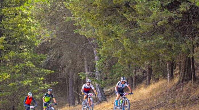 BTT Raposo Bike