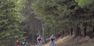 Circuito de Triatlón “Diputación de Palencia”