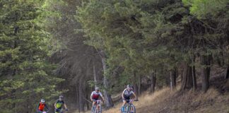 Circuito de Triatlón “Diputación de Palencia”