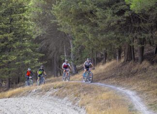 Circuito de Triatlón “Diputación de Palencia”