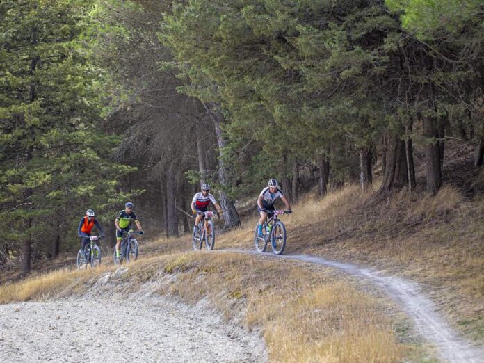 Circuito de Triatlón “Diputación de Palencia”