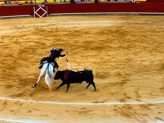 Toros San Antolín 1 de septiembre 2023 - Roberto Lagartos