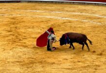 Toros San Antolín 1 de septiembre 2023 - Roberto Lagartos
