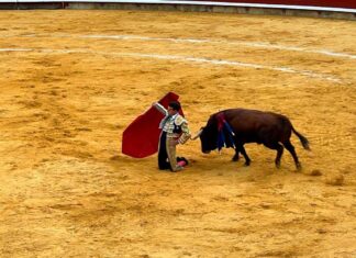 Toros San Antolín 1 de septiembre 2023 - Roberto Lagartos