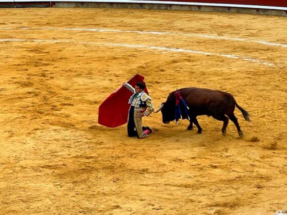 Toros San Antolín 1 de septiembre 2023 - Roberto Lagartos