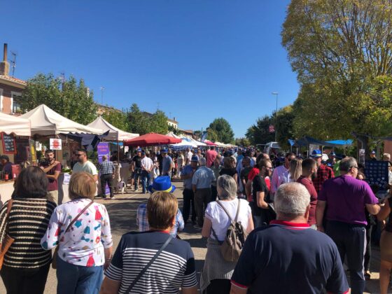 XXIX Feria del Pimiento de Torquemada 2023