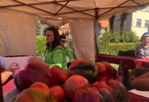XXIX Feria del Pimiento de Torquemada 2023