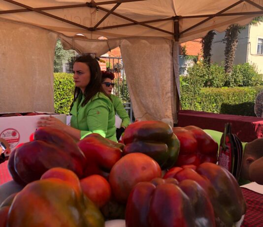 XXIX Feria del Pimiento de Torquemada 2023