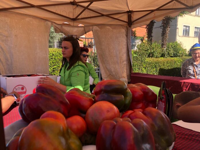 XXIX Feria del Pimiento de Torquemada 2023