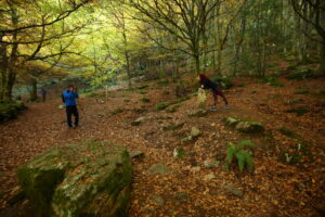 Dos personas caminan por un bosque.
