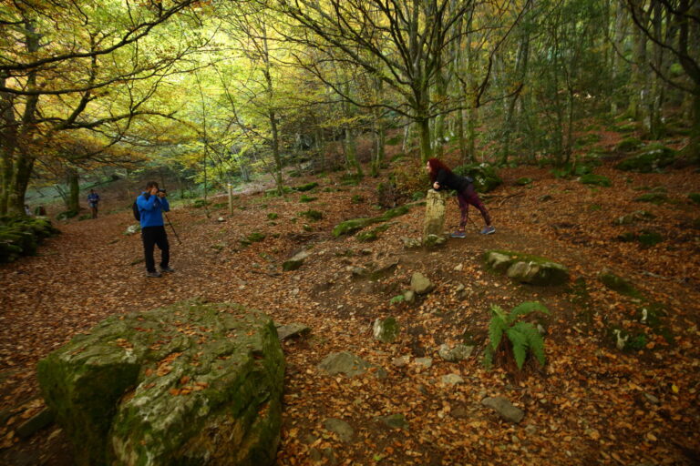 Dos personas caminan por un bosque.