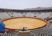 se suspende la última corrida de la feria de san antolín en palencia