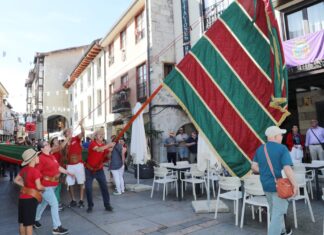 Día de a Provincia Cervera