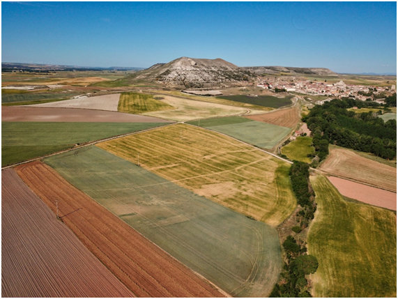 Yacimiento Pallantia en Palenzuela