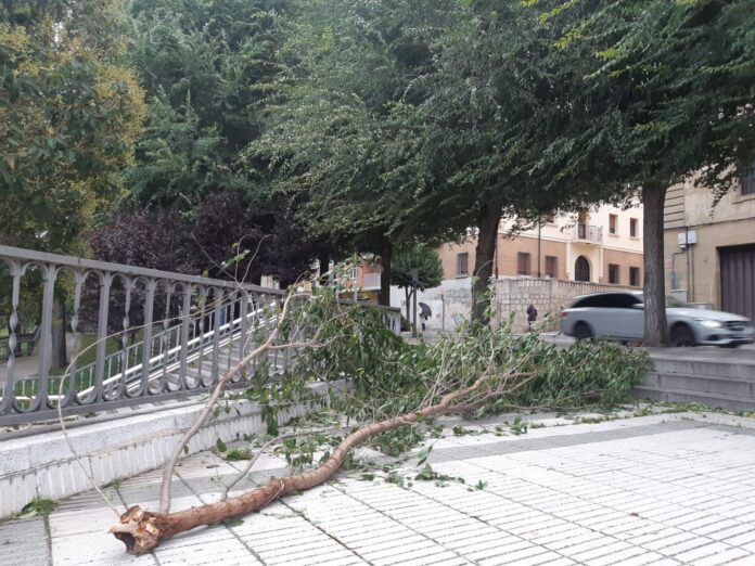 bombero viento UCI