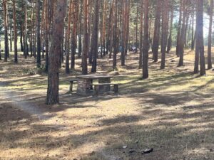 Playa de Aguilar de Campoo