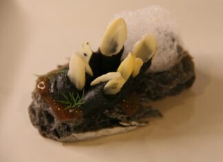 Tapas Palencia