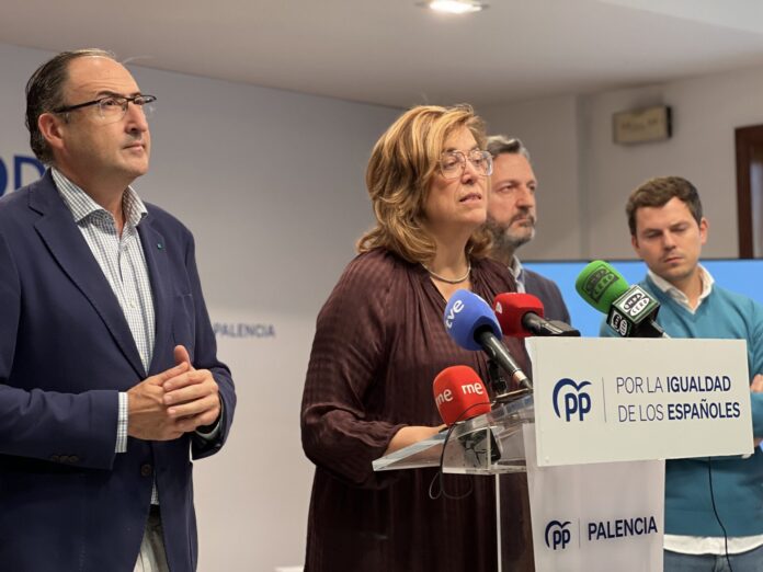 PP Amnistía PP Amnistía