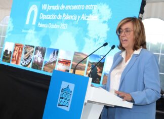 La presidenta de la Diputación de Palencia, Ángeles Armisén, repetirá como presidenta de la FRMP. / ICAL