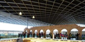 Villa Romana La Olmeda