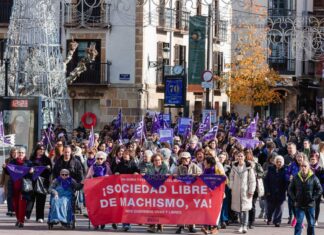 manifestación en soria 25 n CONCHA ORTEGA ICAL