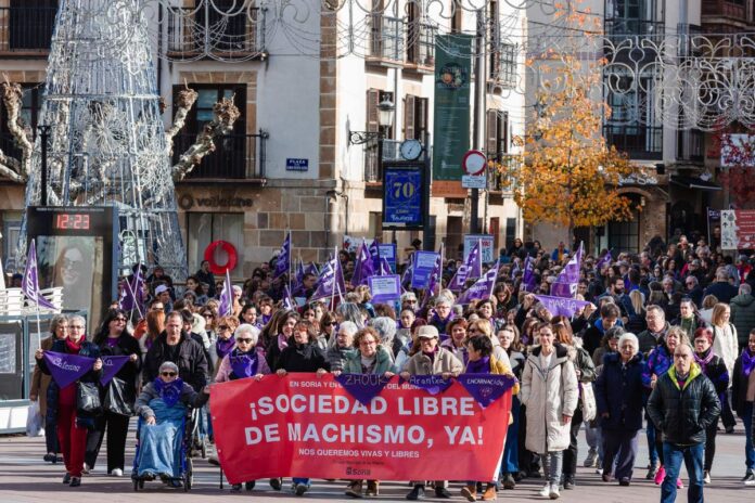 manifestación en soria 25 n CONCHA ORTEGA ICAL