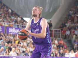 matt haarms