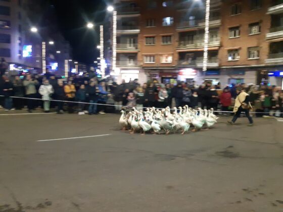 Cabalgata de Reyes en Palencia 2024