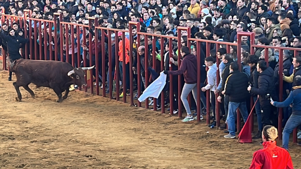 Fiesta de San Sebastián en Paredes de Nava - Encuentro de Coches Clásicos y Festejos Taurinos