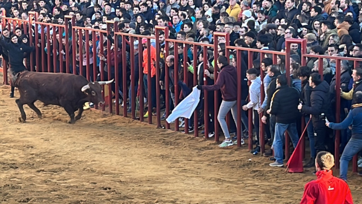 Fiesta de San Sebastián en Paredes de Nava - Encuentro de Coches Clásicos y Festejos Taurinos