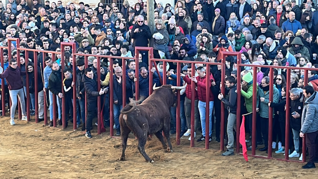 Fiesta de San Sebastián en Paredes de Nava - Encuentro de Coches Clásicos y Festejos Taurinos