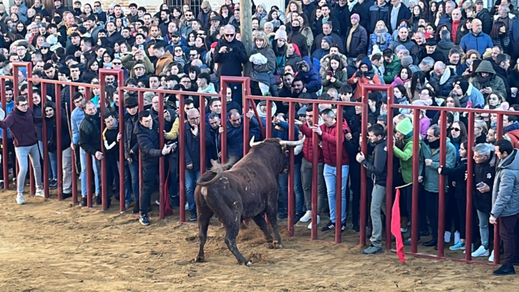 Fiesta de San Sebastián en Paredes de Nava - Encuentro de Coches Clásicos y Festejos Taurinos