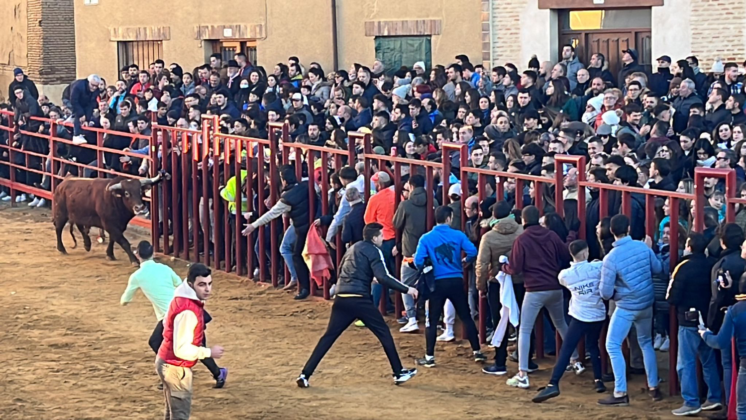 Fiesta de San Sebastián en Paredes de Nava - Encuentro de Coches Clásicos y Festejos Taurinos