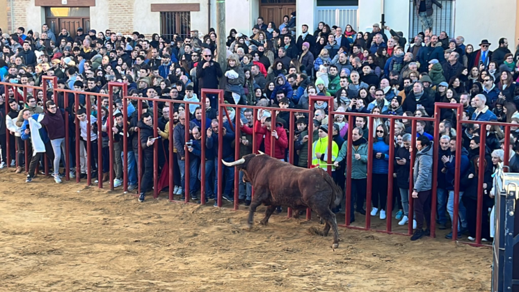 Fiesta de San Sebastián en Paredes de Nava - Encuentro de Coches Clásicos y Festejos Taurinos