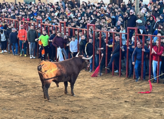 Fiesta de San Sebastián en Paredes de Nava - Encuentro de Coches Clásicos y Festejos Taurinos